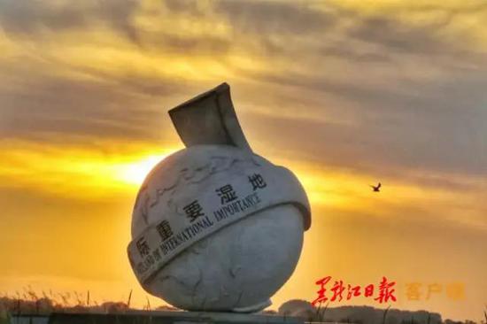 探索黑色沼泽：揭秘神秘湿地生态系统的形成、分布与保护