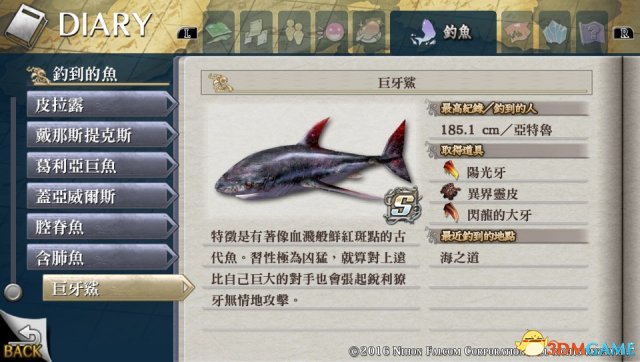 伊苏起源攻略：从新手入门到全成就达成的完整指南，轻松通关不再卡关