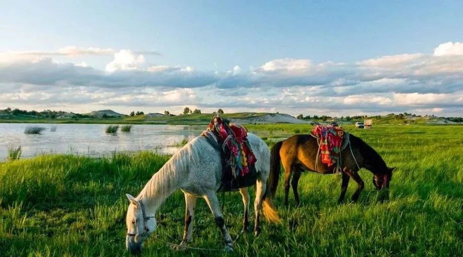 哥萨克3：轻松掌握东欧草原游牧文明，体验自由骑兵的快乐征战